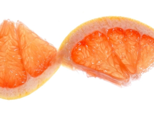 Unlock the Power of Nutrigenomics Testing: Tailoring Health Care Plans in Surrey to Your Unique Genetic Blueprint
