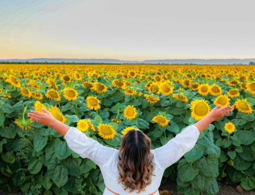 The Power of Comprehensive Stool Testing in Naturopathic Nutritional Health Care & Functional Medicine